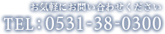 TEL:0531-38-0300