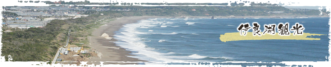 伊良湖観光
